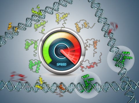 Control of Gene Expression (Professor Victor Muñoz)